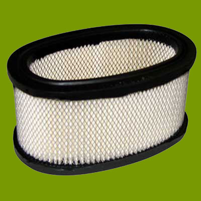 (image for) Briggs & Stratton Air Filter 393725, JM620